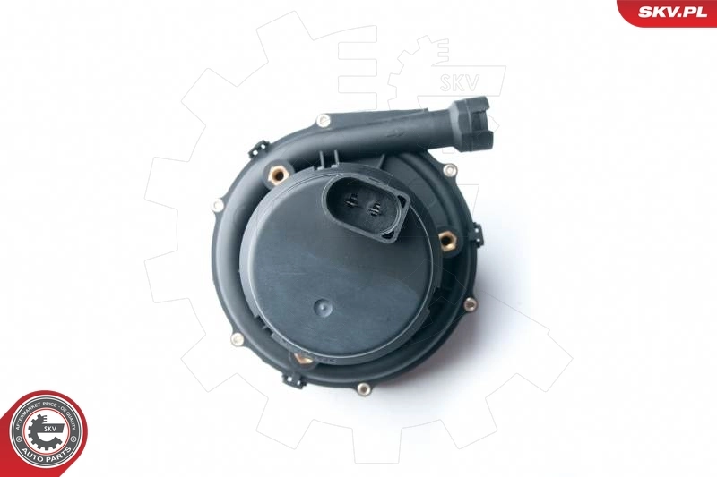 Secondary Air Pump